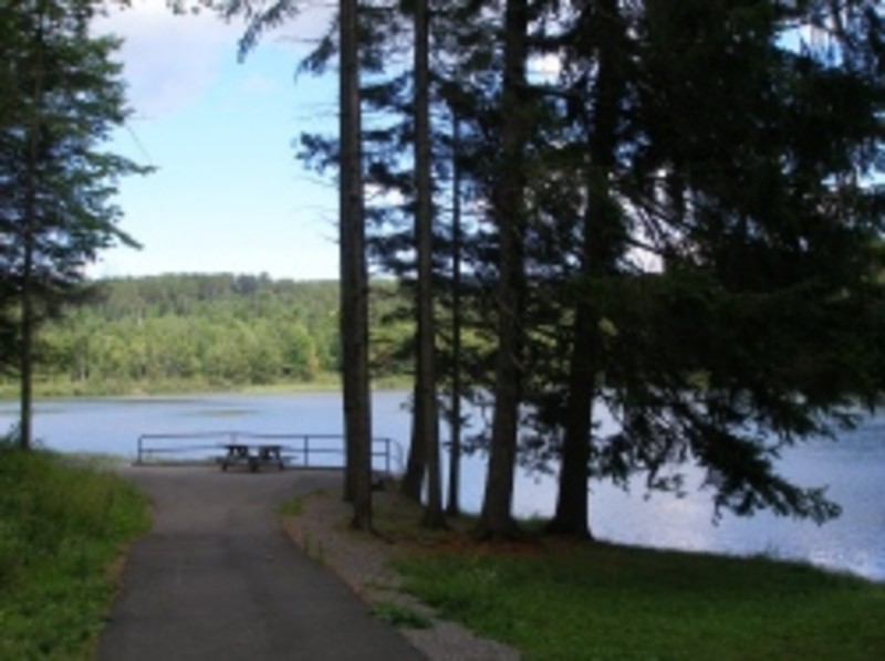 Milford State Forest