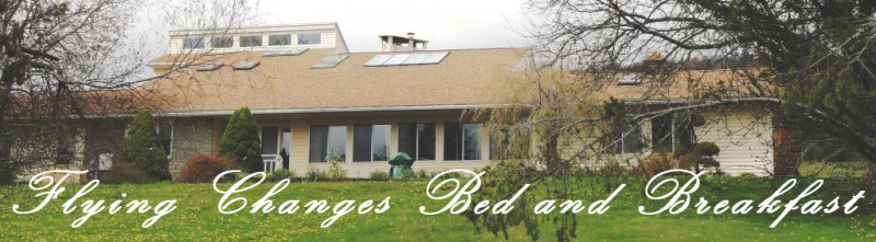 Flying Changes Bed & Breakfast