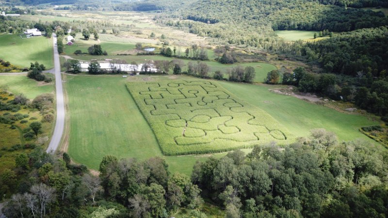 Fly Creek Valley Corn Maze & Pumpkin Patch