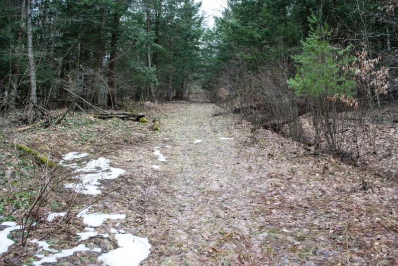 Susquehanna State Forest