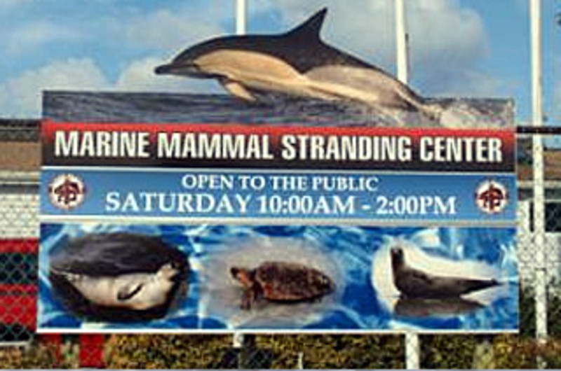 Marine Mammal Stranding Center