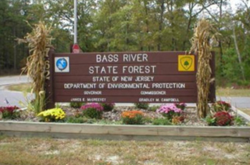 Bass River State Forest