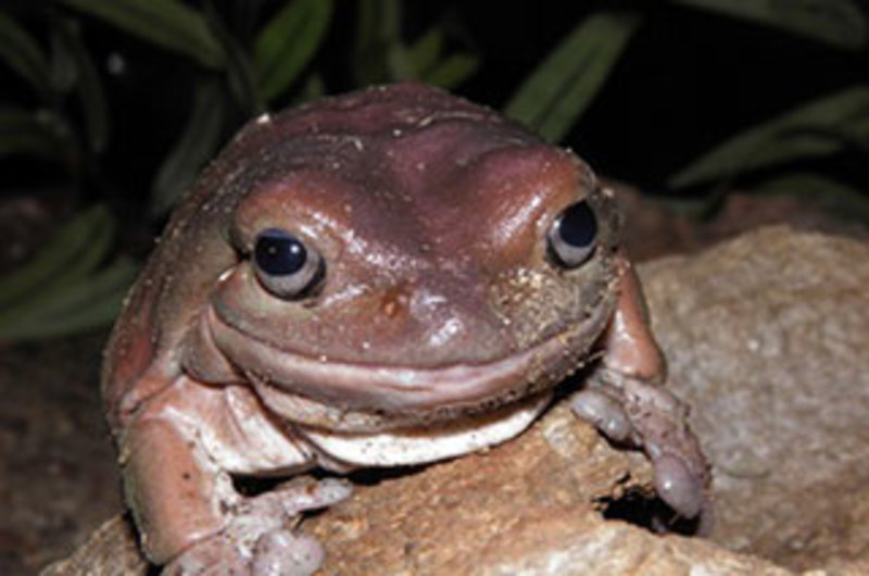 Atlantic City Aquarium - Explore Attraction in Atlantic City