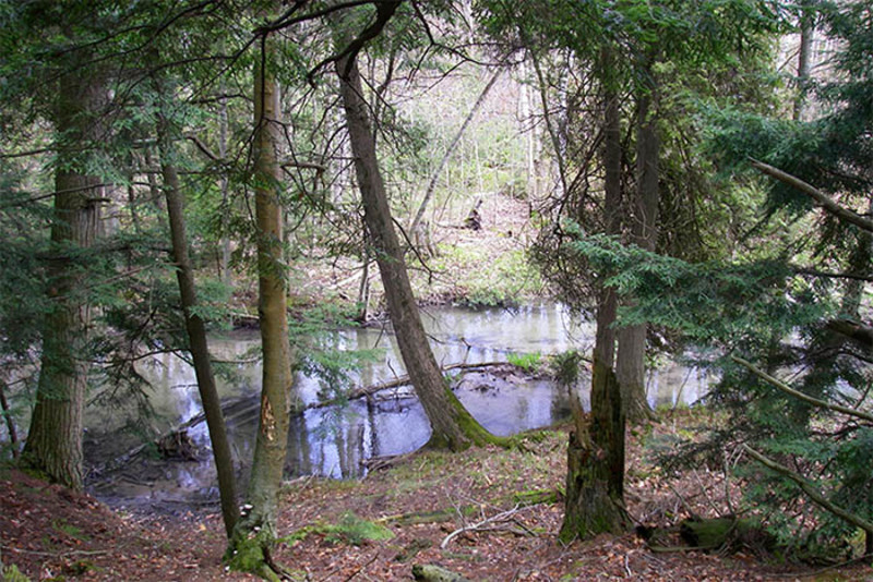 Heins Creek Nature Preserve
