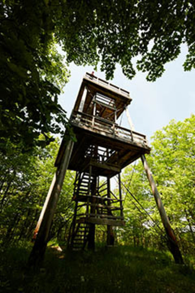 Mountain Park and Lookout Tower (1)