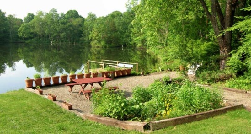                         The dock on the lake next to some bushes and a picnic table at the Hudson Valley Cabin.
                        