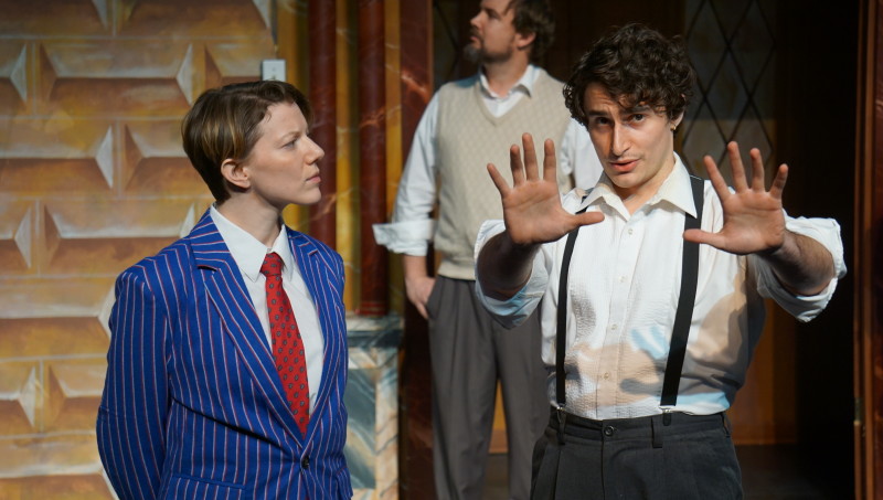                         Twelfth Night, or What You Will
                        