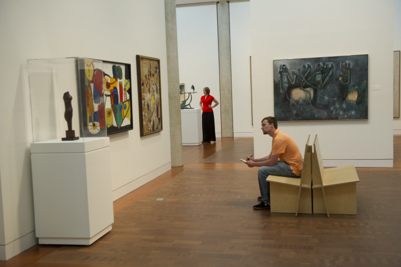                         Art Gallery at the Frances Lehman Loeb Art Center on the Vassar College Campus, Poughkeepsie, NY.
                        