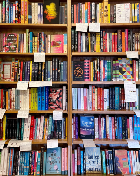                         Shelves of books in the fiction section at Oblong Books in Rhinebeck
                        