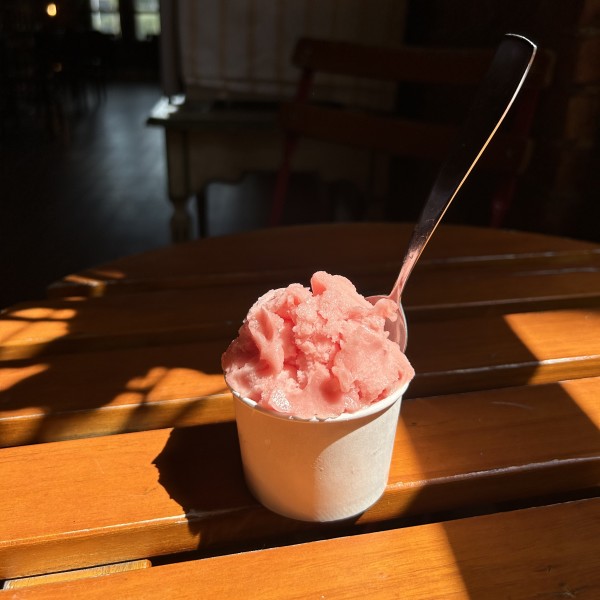                         A cup of Barbara's gelato
                        