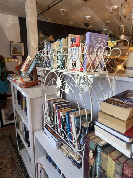                         Inside Red Hook Yard Sale with rows of books on a shelf
                        