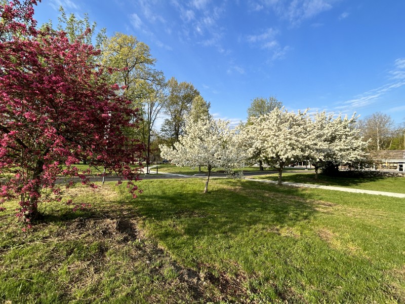                         Exterior photo of the Dassai Blue sake brewery.
                        