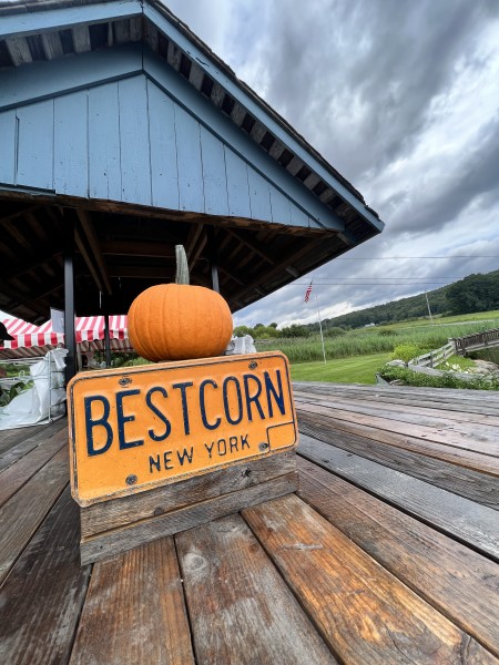                         A vintage orange and blue New York license plate with the words BEST CORN on it sits on a wooden table in front of a pumpkin at Dykeman Farm in Pawling.
                        