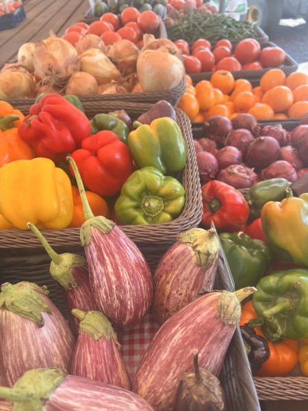                         A closeup picture of a display of vegetables, including eggplant, red and green peppers, and yellow onions at Dykeman Farm in Pawling.
                        