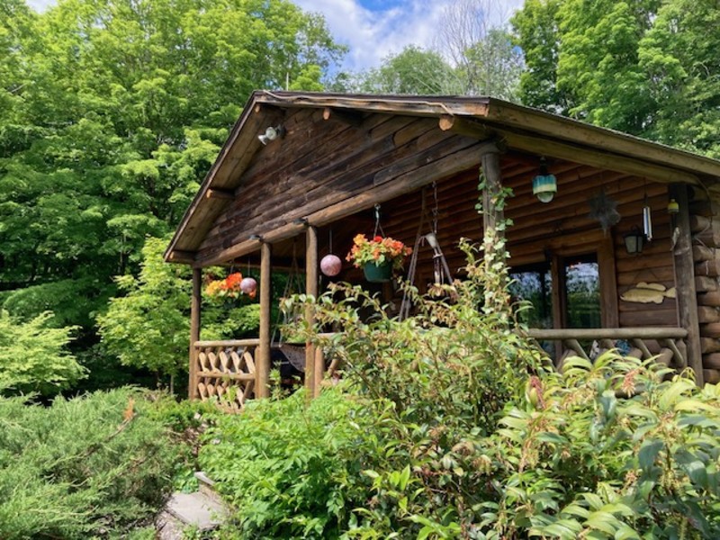                         The exterior of the Hudson Valley Cabin with green bushes in front.
                        