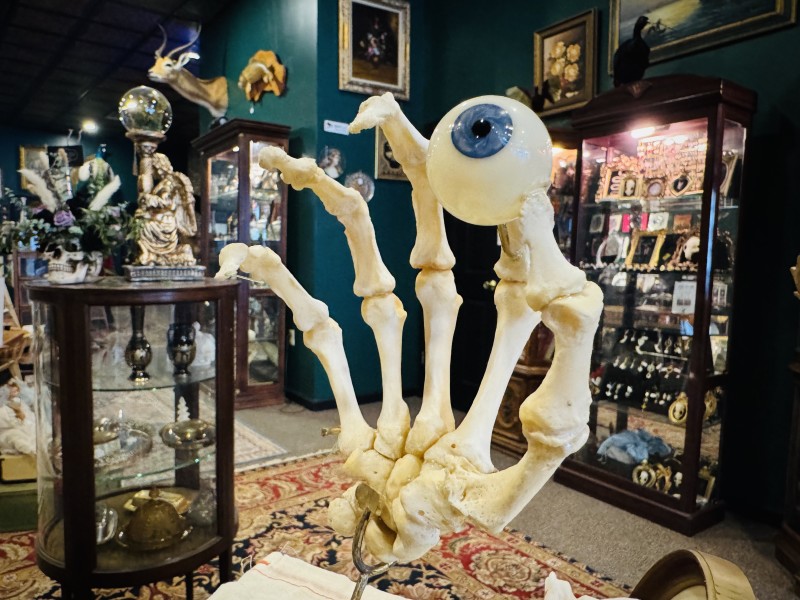                 A skeleton hand holds an eyeball at Curio Cabinet of the Hudson Valley in Poughkeepsie
                
