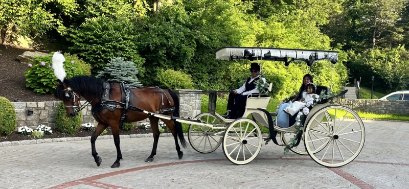                         A horse-drawn carriage ride at Celtic Valley Carriage & Farm in Clinton Corners
                        