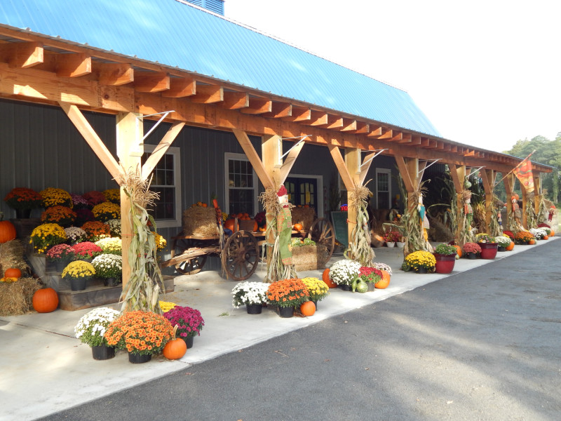 Visit Kesicke Farm in Rhinebec...