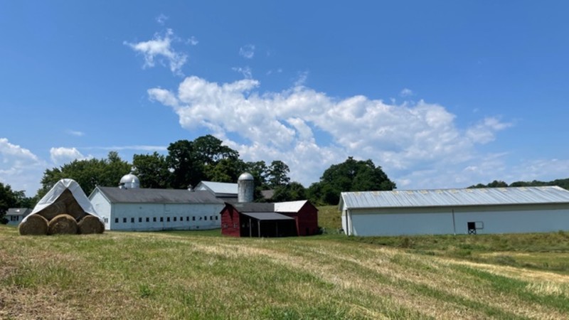                         The barns, facilities and grassy pastures at Northaven Pastures in Red Hook on a sunny day.
                        
