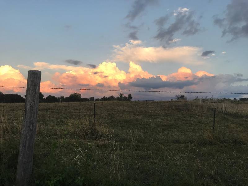                 Stony Kill Farm, Wappingers Falls
                