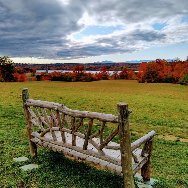                         Tree branch bench overlooking Hudson River and fall foliage.
                        