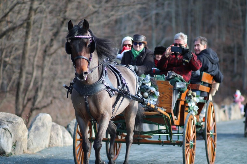                         A horse-drawn carriage ride at Celtic Valley Carriage & Farm in Clinton Corners. Photo by Rocky Road Photography.
                        