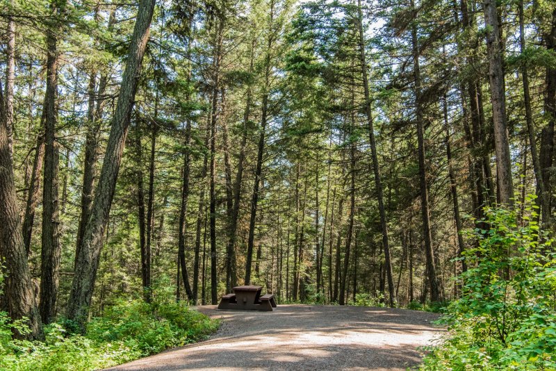 Paul Lake Provincial Park 