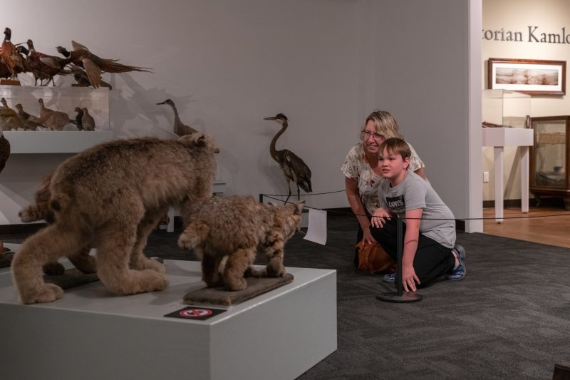 Animals