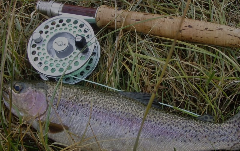 Fast Action Fishing Adventures 
