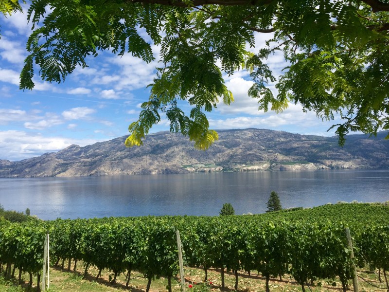 Summerland Sips Tour 