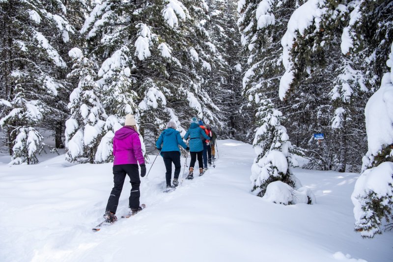 Snowshoeing