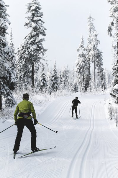 Brads Nordic Skiing 