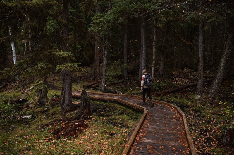 Isobel Lake Recreation Site 