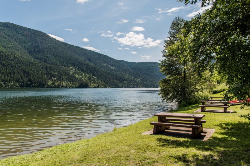 Paul Lake Provincial Park 