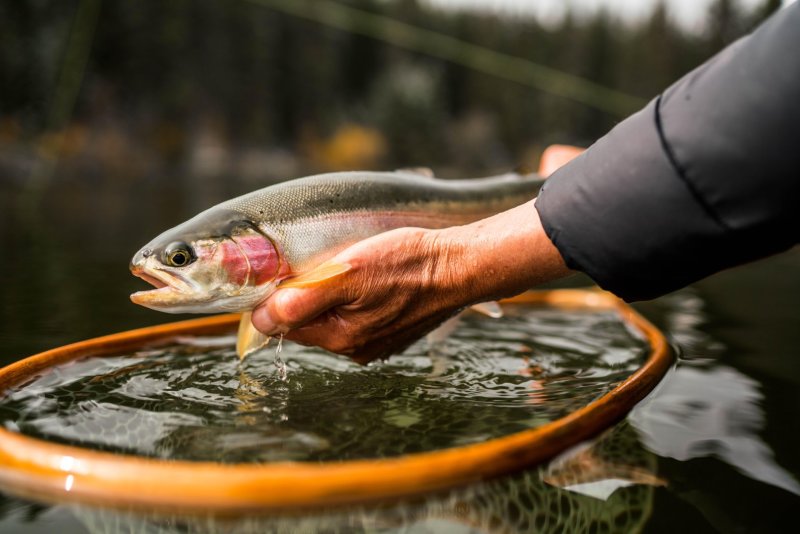 Riseform Flyfishing Ventures 