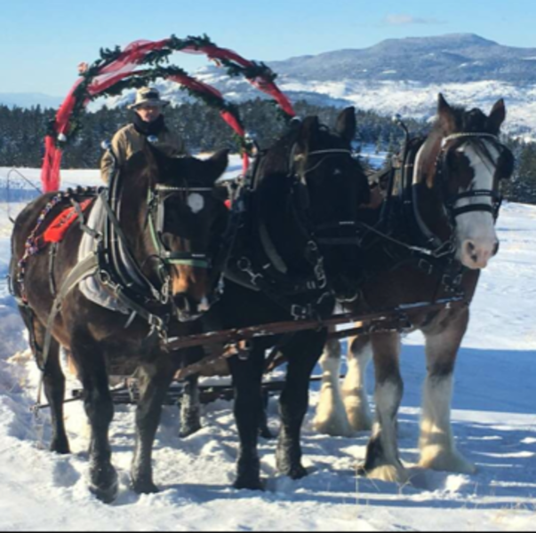 The Ranch Sleigh Rides 