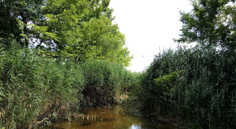 Explore | Clear Creek Wildlife Management Area