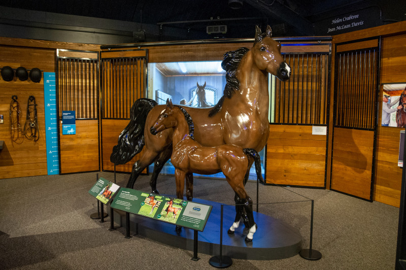 【美品】The museum of the horse  本　馬の博物館 Explore | International Museum of the Horse