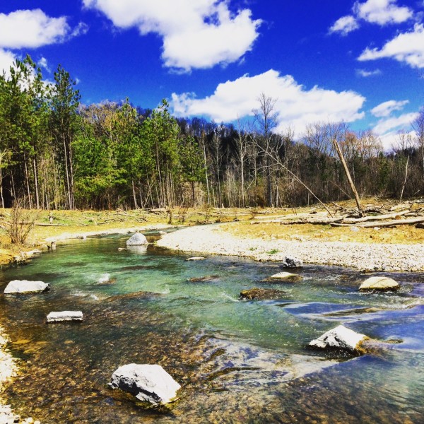 Fly Fishing Hatchery Creek -- A Man Made Creek For Trout 