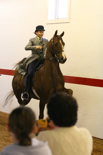AmericanSaddlebredhorsefarm