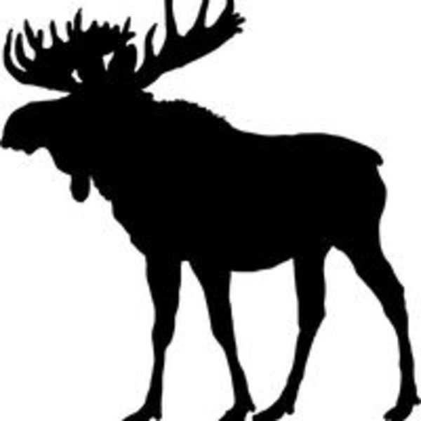Moose on the Loose Deli