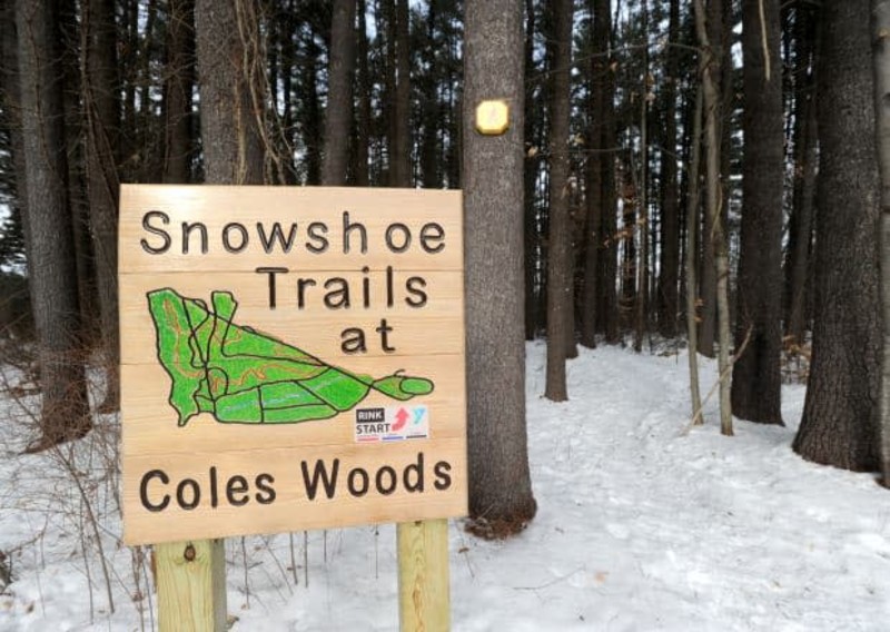 Cole's Woods Ski Trails