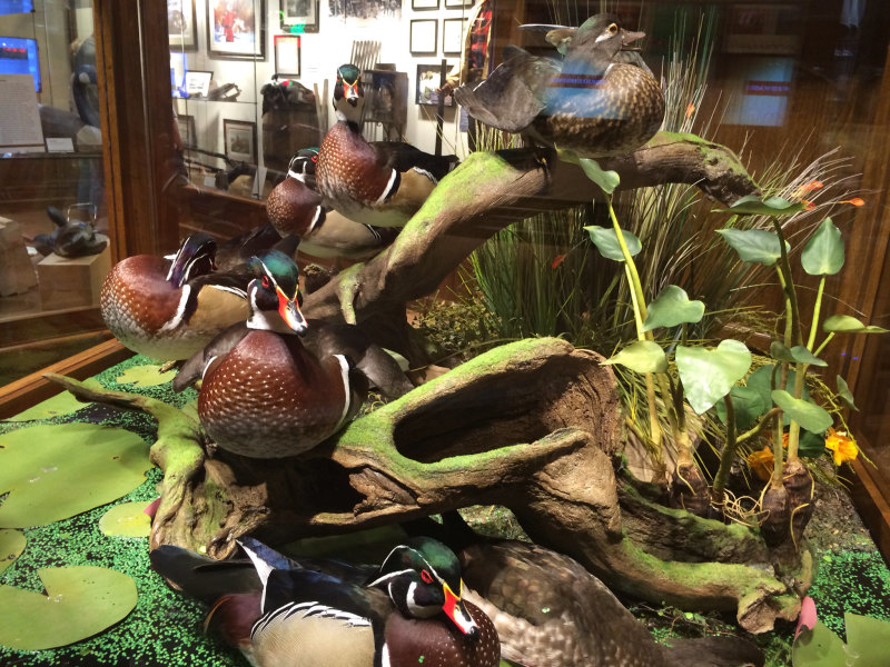 Ducks Unlimited Waterfowling Heritage Center