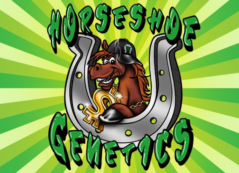 Horseshoegenetics