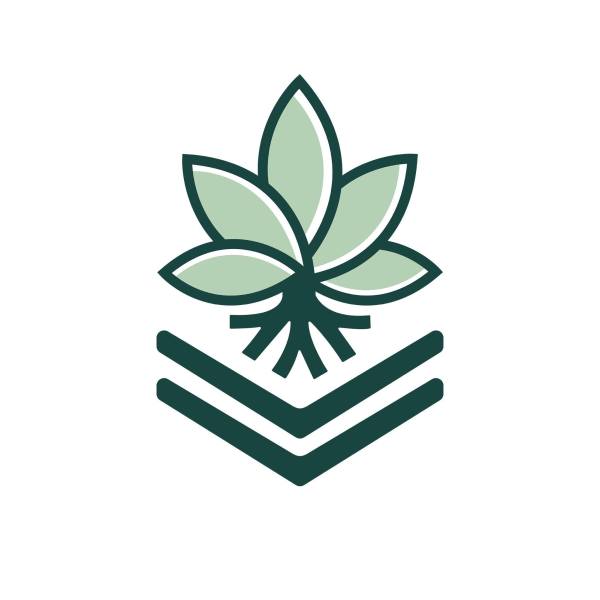 Exit 31 Exotic | Utica Cannabis Company