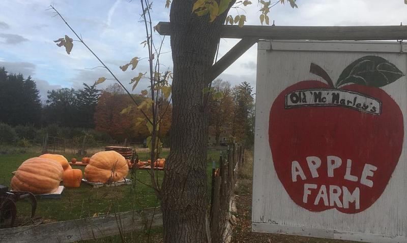 Old McMarley’s Apple Farm
