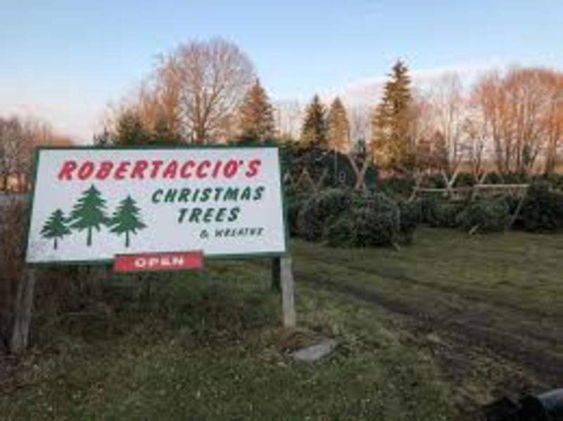 Robertaccio’s Christmas Trees