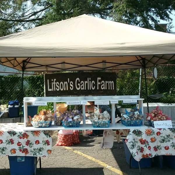 Lifson Garlic Farm