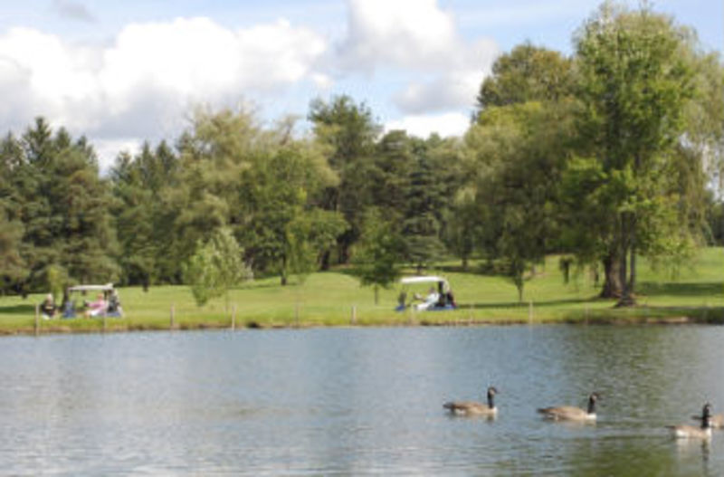 Twin Ponds Golf & Country Club