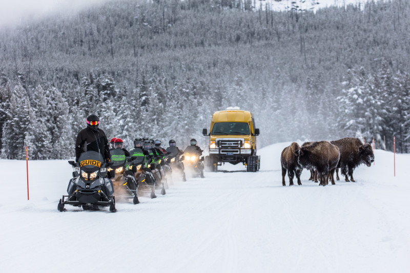 snowmobile tours in yellowstone national park